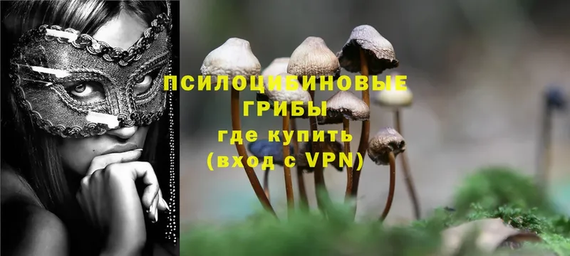 Псилоцибиновые грибы Magic Shrooms  MEGA рабочий сайт  Ульяновск 